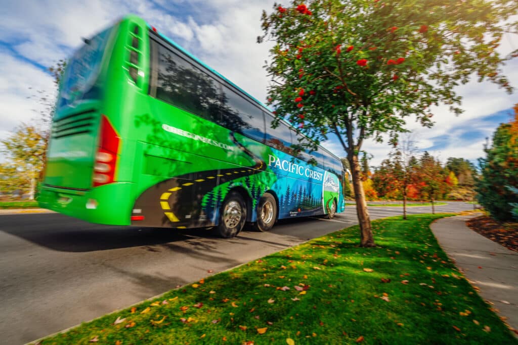 PCBL Bus Driving by tree